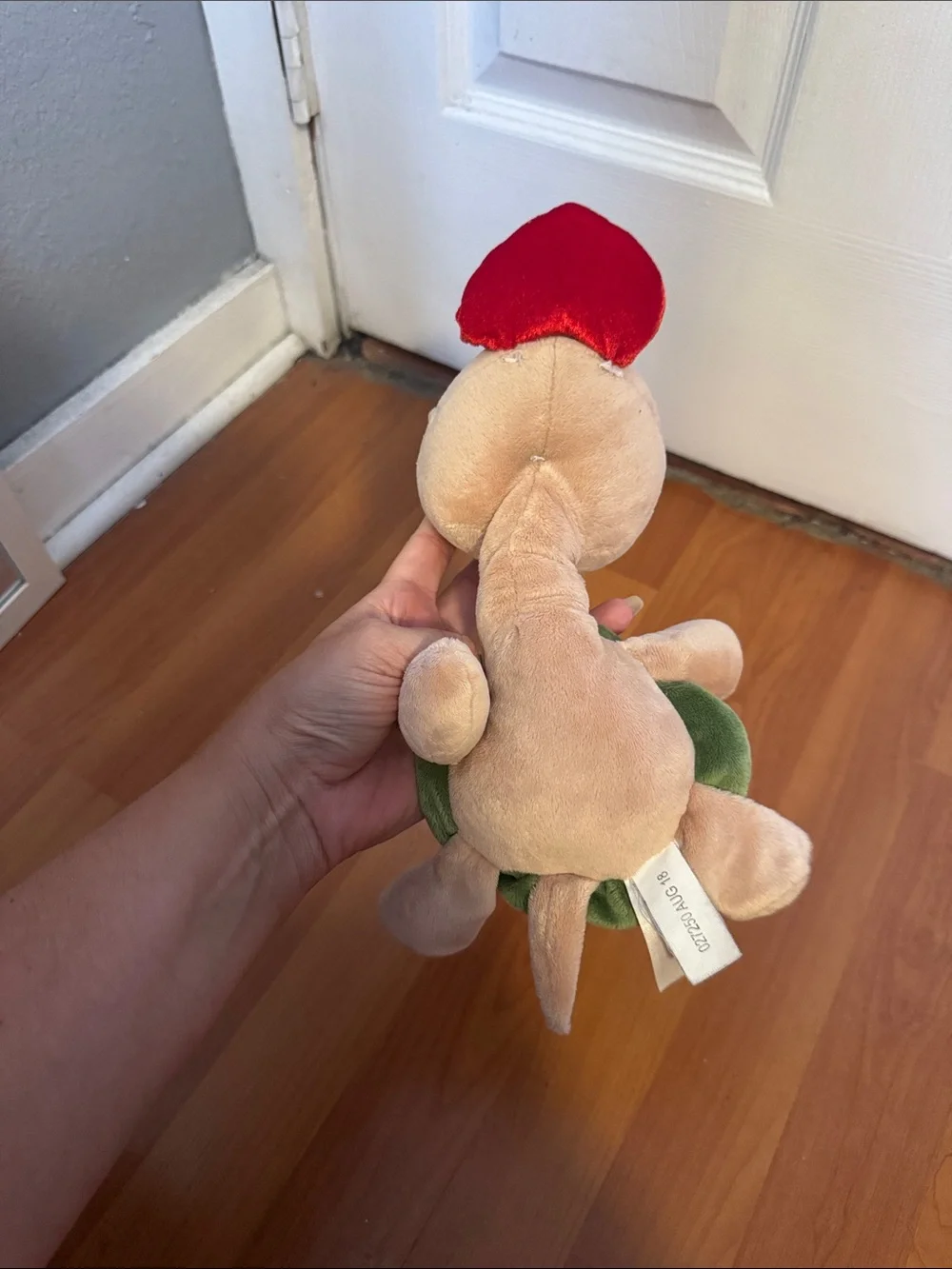 Plush Turtle in Green, Beige and Red Heart